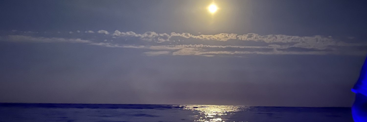 lauracaroline95's profile banner image