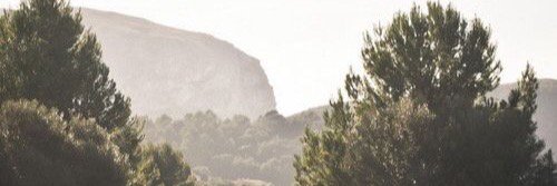 ericastuart14's profile banner image
