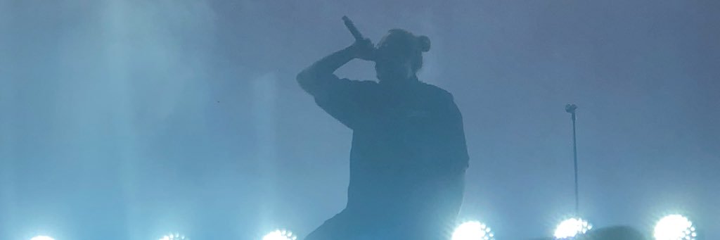 catiepolant's profile banner image