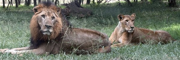 harjrayt Profile Banner