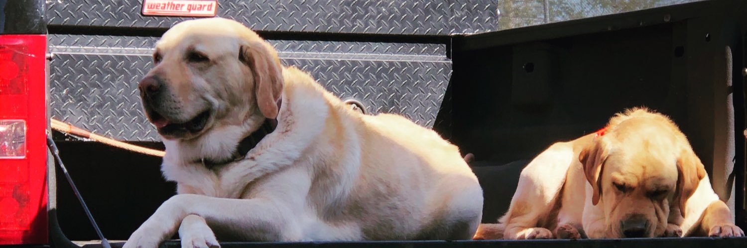 American🇺🇸 banner