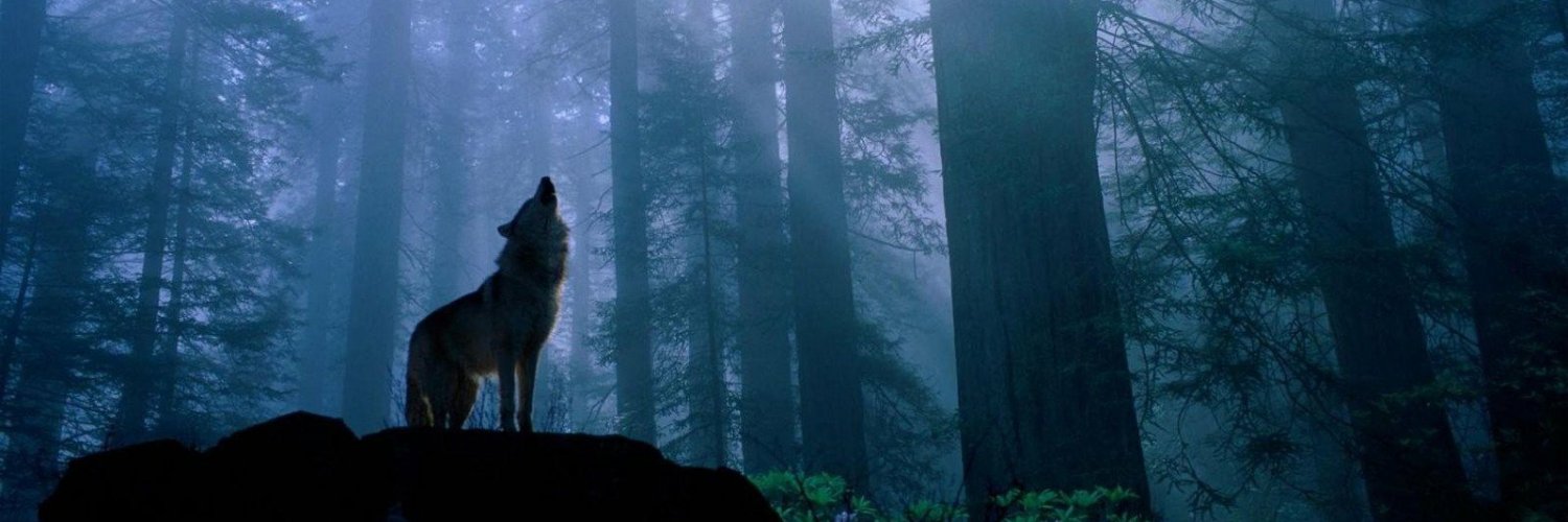 germanpeart's profile banner image