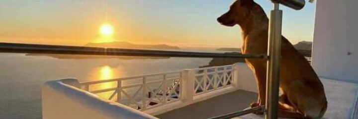 bruce_Mugoh's profile banner image