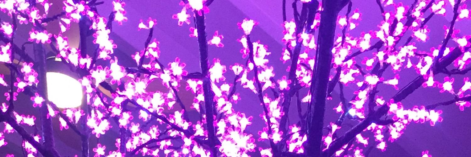 HannahCorry's profile banner image