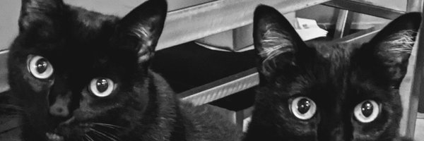RLStollar Profile Banner