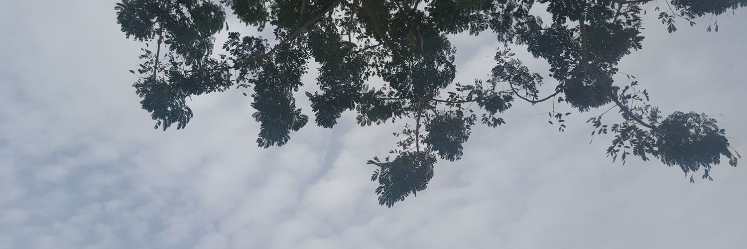 shoooosh's profile banner image