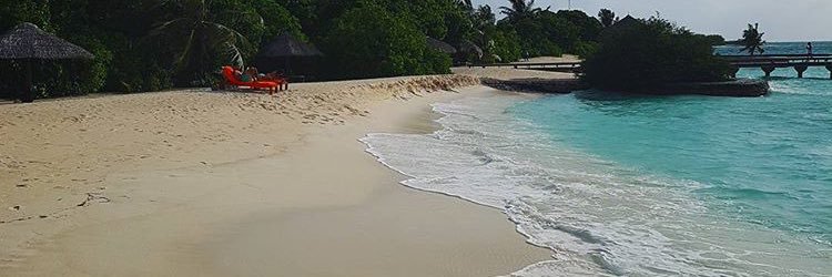 ReemAleidi's profile banner image