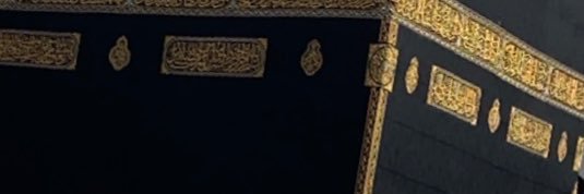julia banner