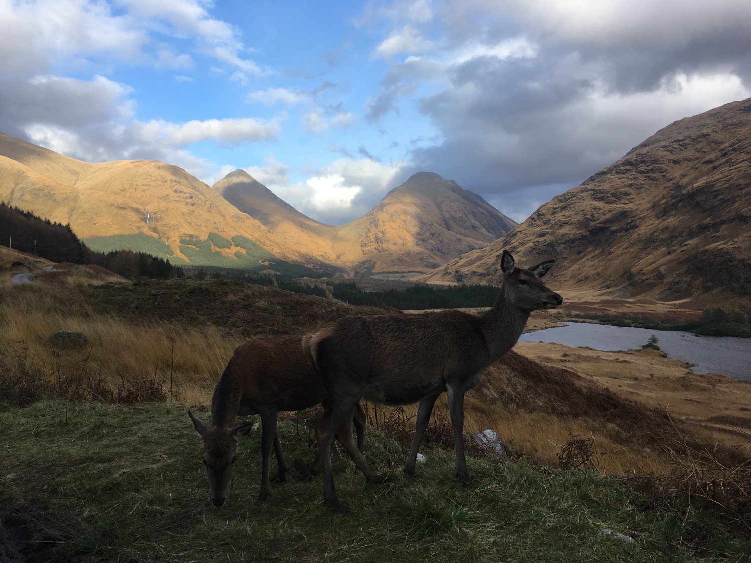 Maxence Peigné banner
