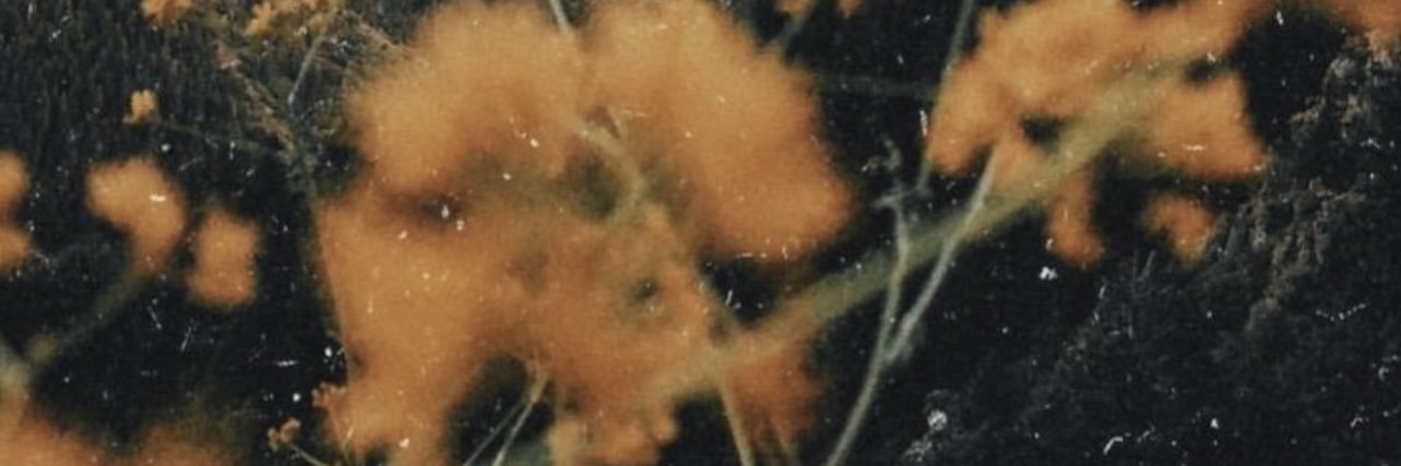 BoweBrooke's profile banner image
