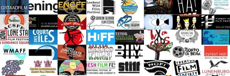 festival focus banner