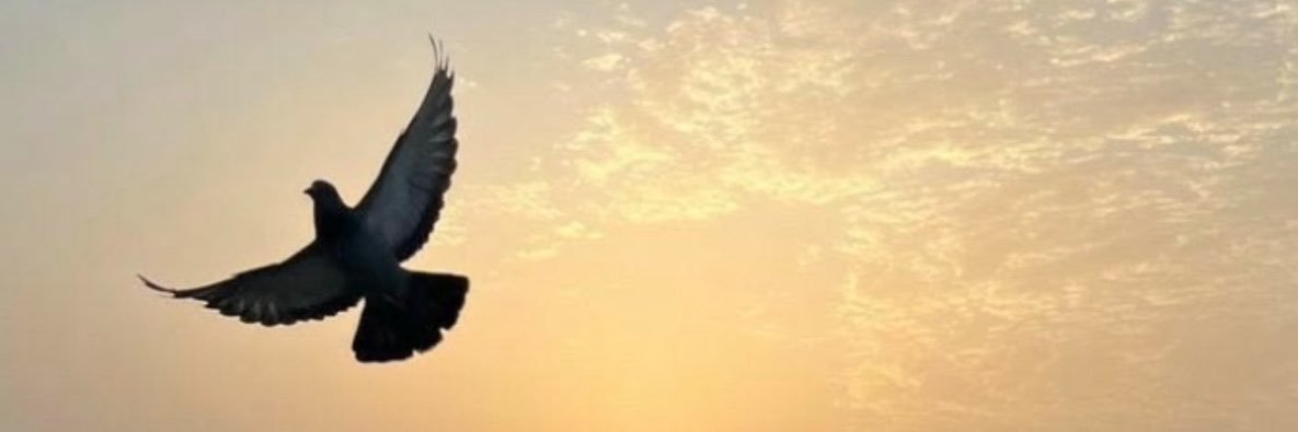 صمت الجبروت ♌️ banner