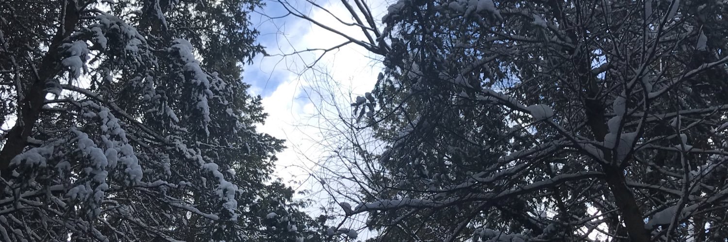 runnertinman's profile banner image