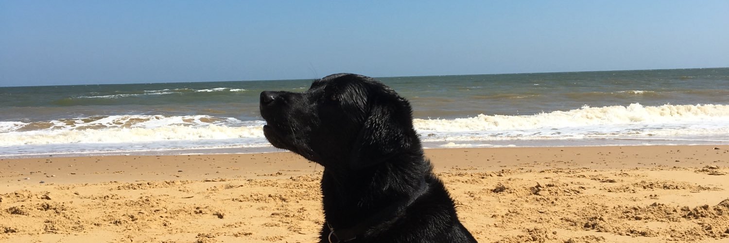 annabennett88's profile banner image