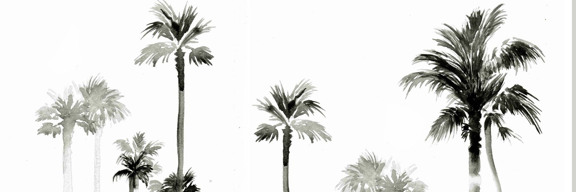ATheerese's profile banner image