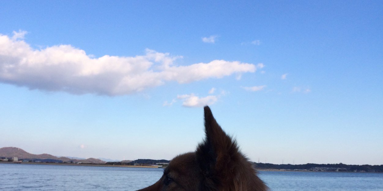 chiettila's profile banner image
