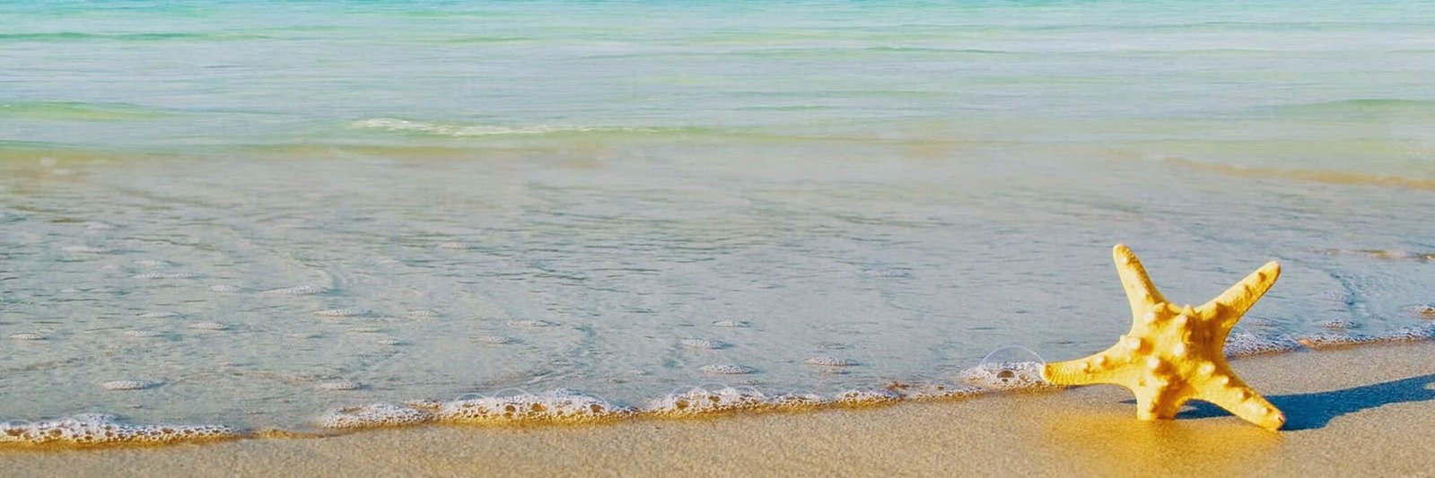 MonahanRay's profile banner image
