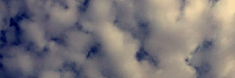 meshoo_ma's profile banner image