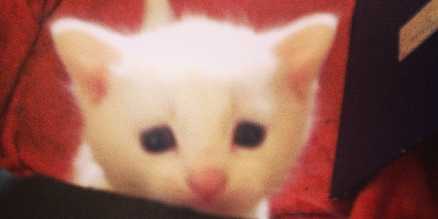 kellymccann8's profile banner image