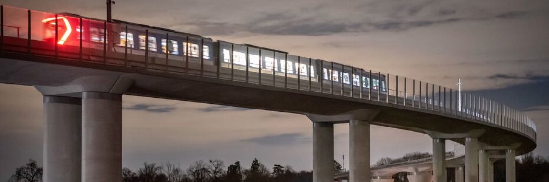 Emmanuel Lion banner