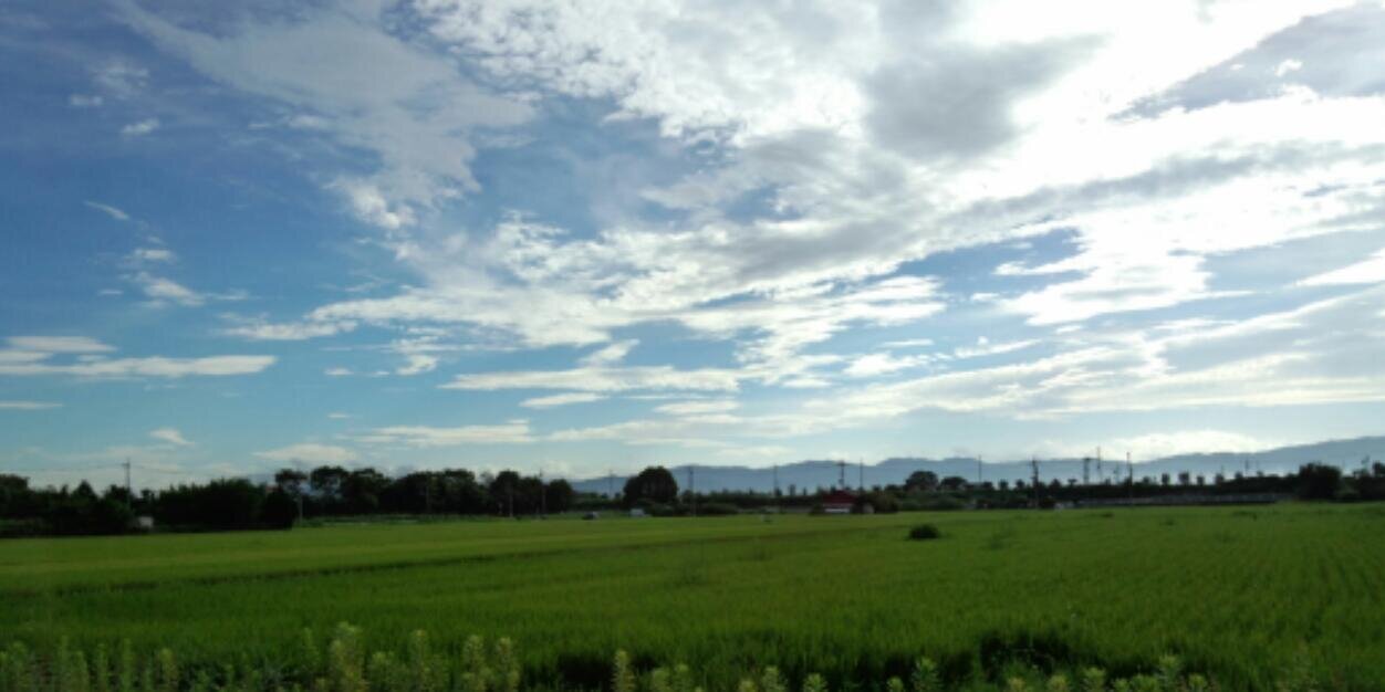 Margari_Aks's profile banner image