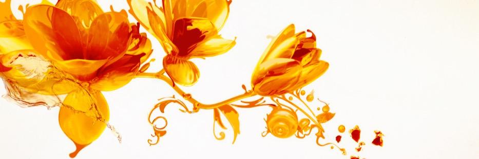 lmiellis's profile banner image