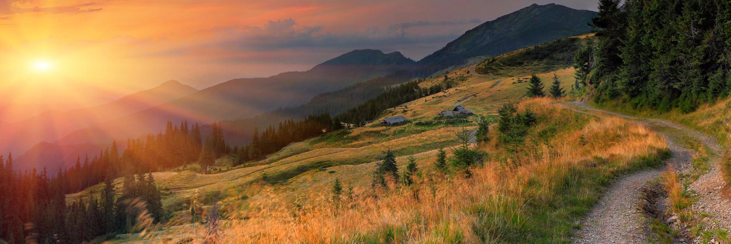 wanderncom's profile banner image