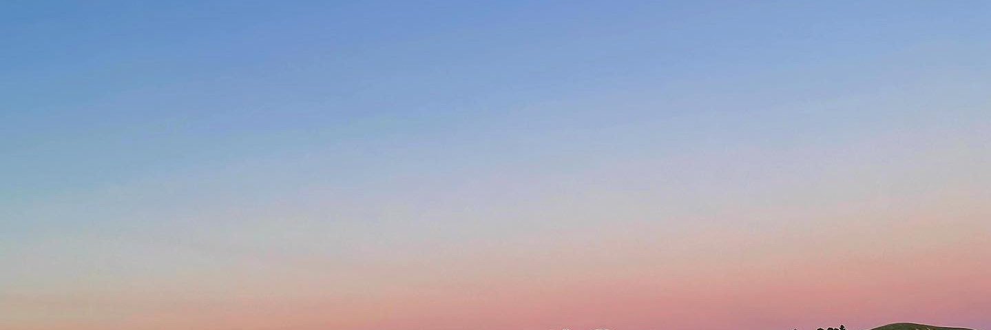 corinnewaucaush's profile banner image