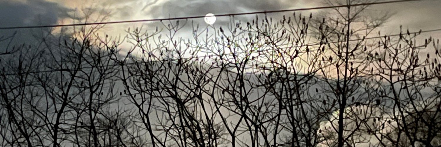 Edge1978's profile banner image