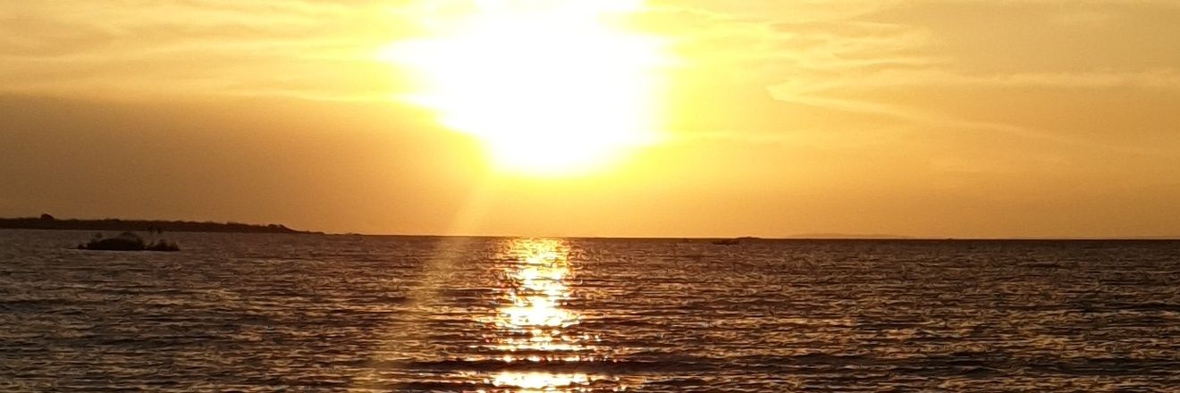 chiechy's profile banner image