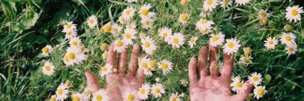 Cinderelllie's profile banner image