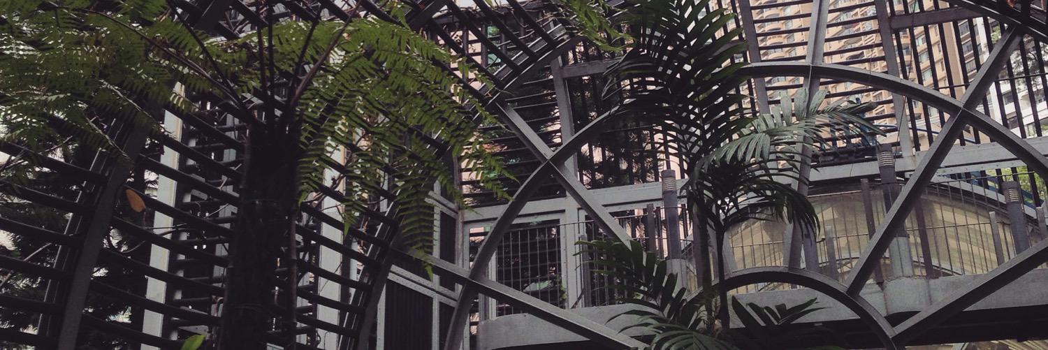 teachan411's profile banner image