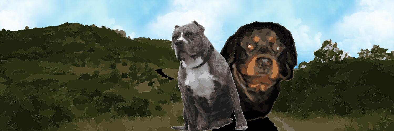 xstaco's profile banner image