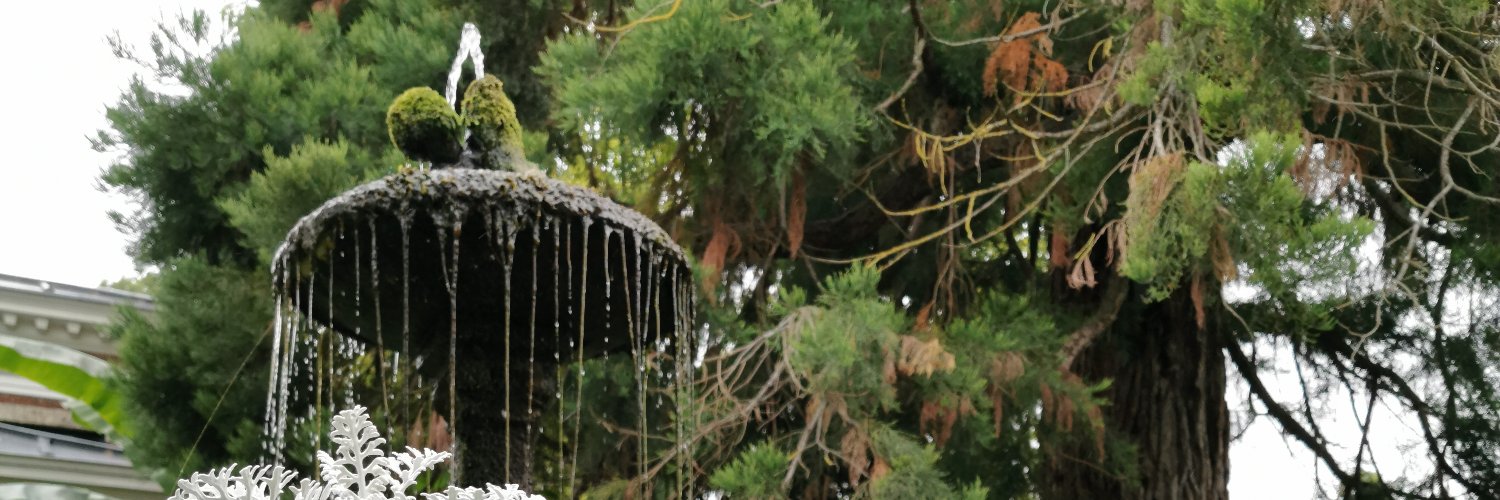 gmaks65's profile banner image