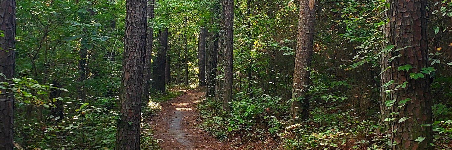 GreenMomma84's profile banner image