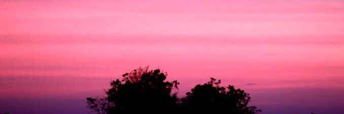 _belaamendes's profile banner image
