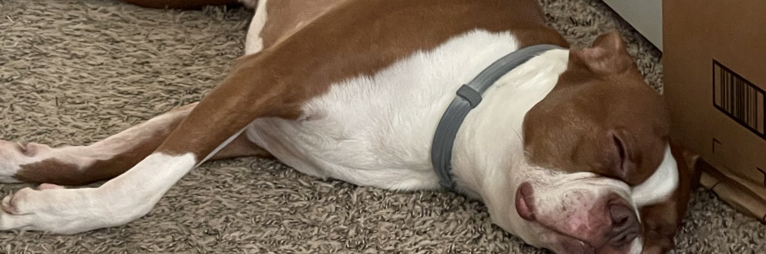 MAGA Devil Dog banner