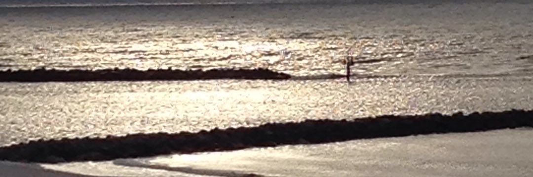 Maneesha Manges banner