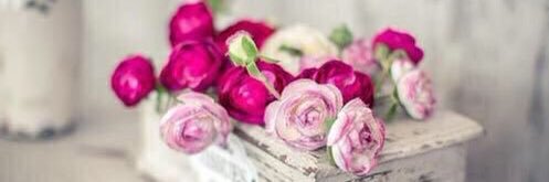 asma_ali_66's profile banner image