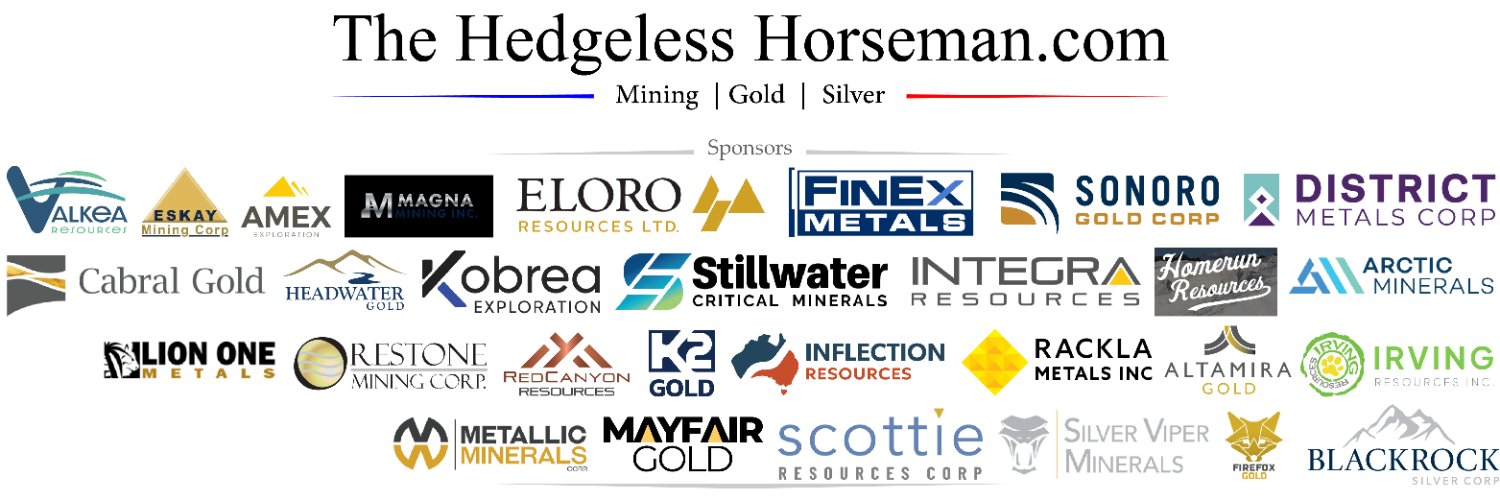 TheHedgelessHorseman 🏇 banner