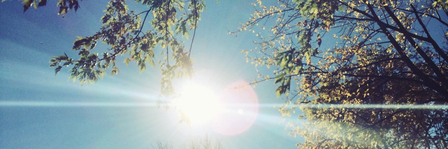 rachvanderlee's profile banner image
