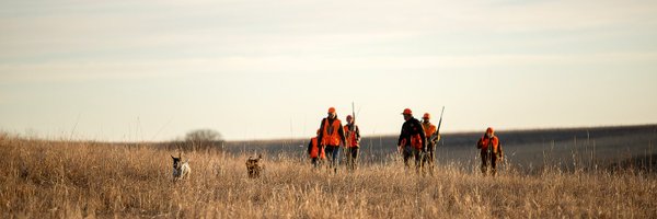 TheKDWP Profile Banner