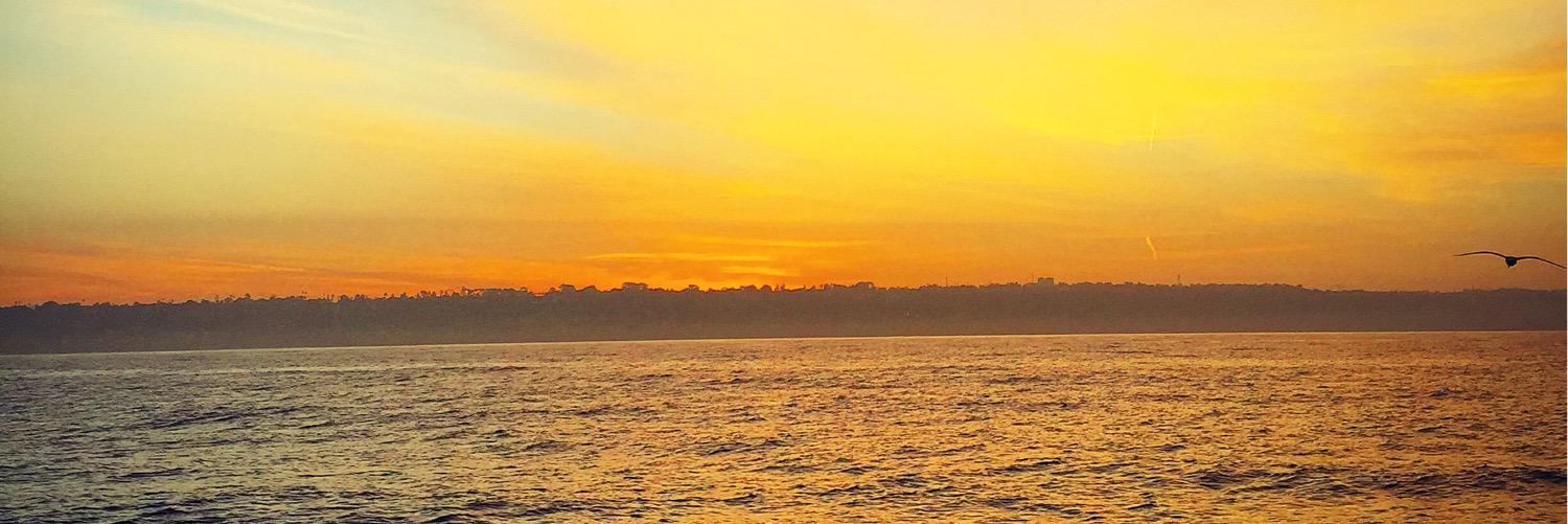 cybodden's profile banner image