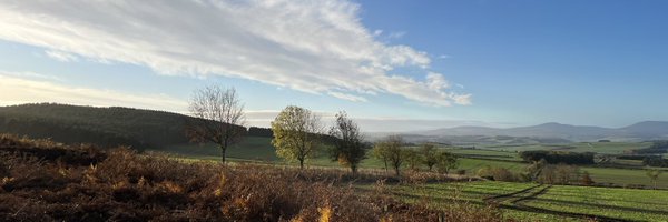 TomVoyce Profile Banner