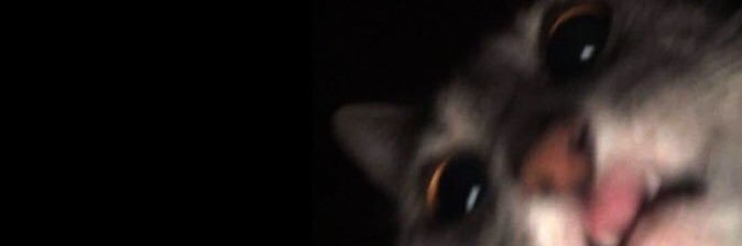 Crisgal5's profile banner image