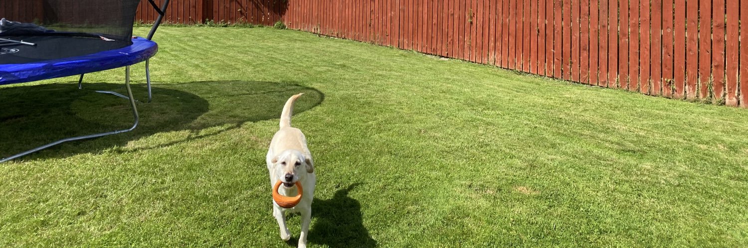 Andy Kilpatrick banner