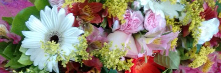 Via_Flores's profile banner image