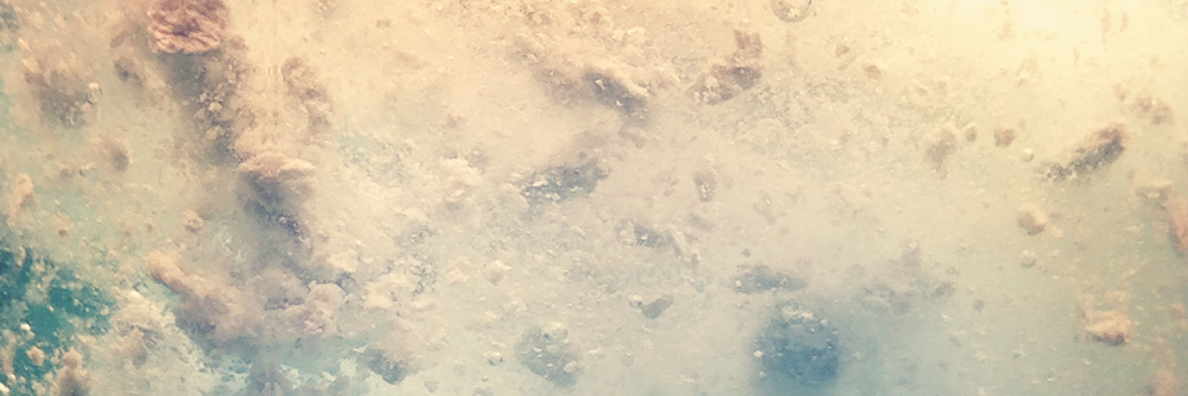 fvt_vlex's profile banner image