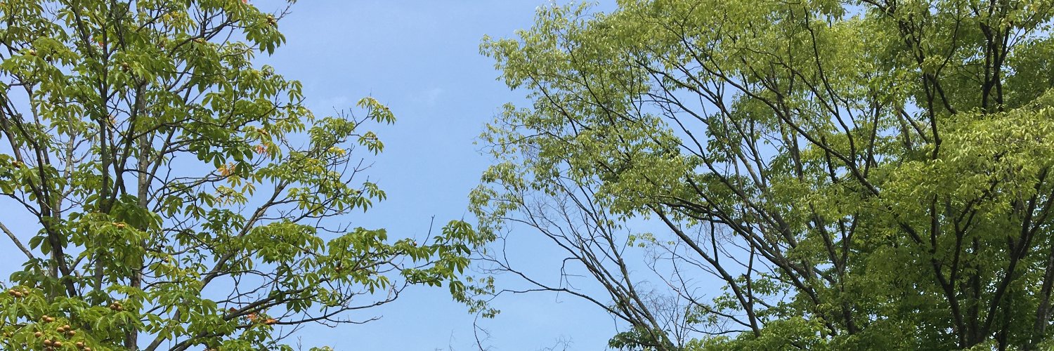 maple_bunkei's profile banner image