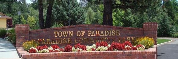 paradise_ca Profile Banner